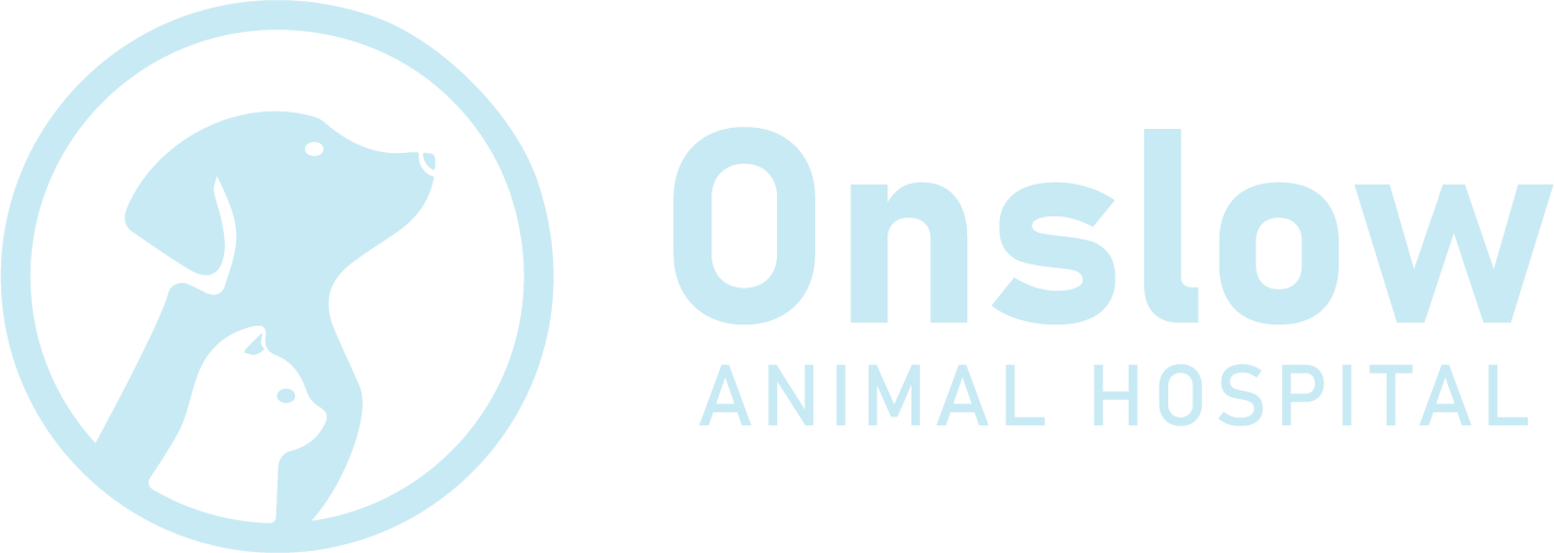 Onslow Animal Hospital